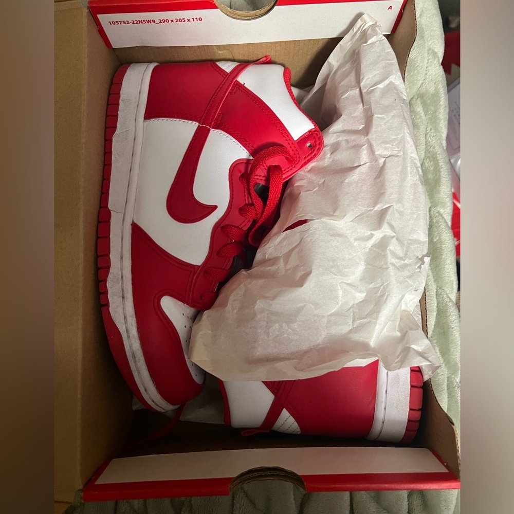 Nike Dunk High